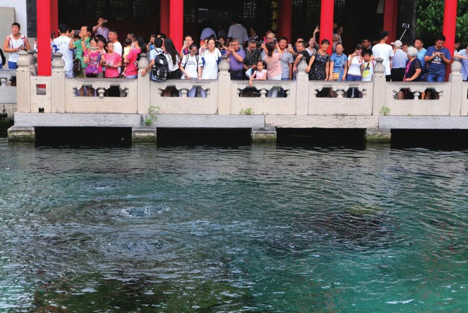 趵突泉水位攀升至28.12米 盛夏“泉水游”火爆泉城