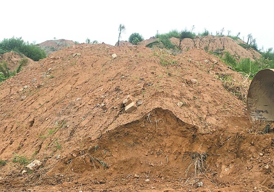 沙河五村公交站牌附近松土处于裸露状态