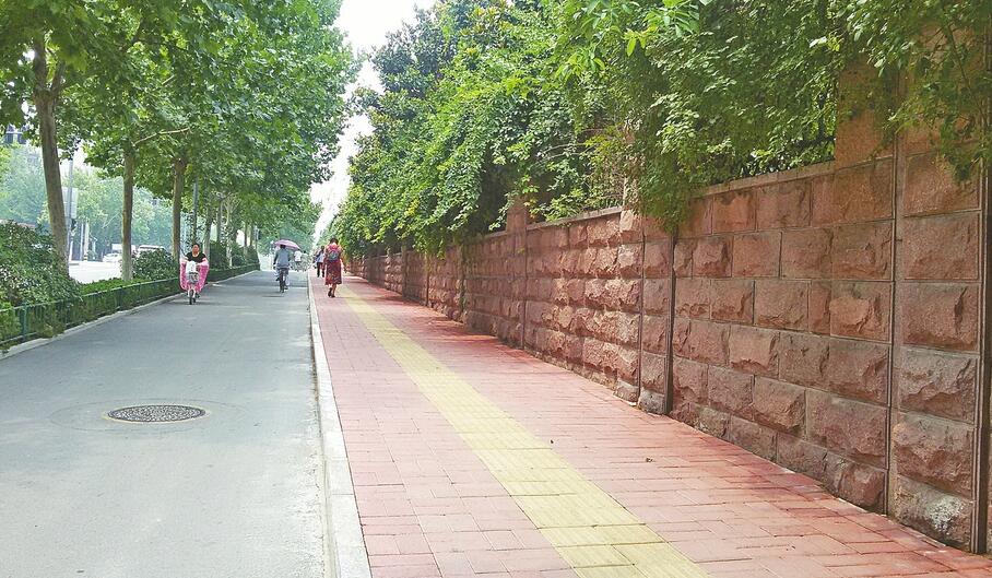 点线面整治亮点纷呈 讲担当扮靓品质市中