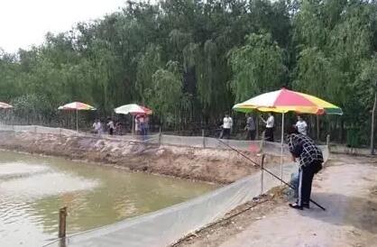 南方暴雨催火山东小龙虾 多地虾批发价翻番