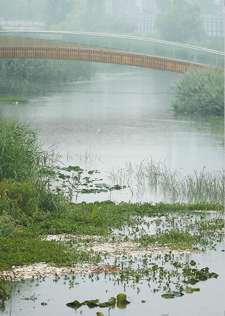 雨后腊山河景象让人大跌眼镜:污物漂浮 水呈黄黑色