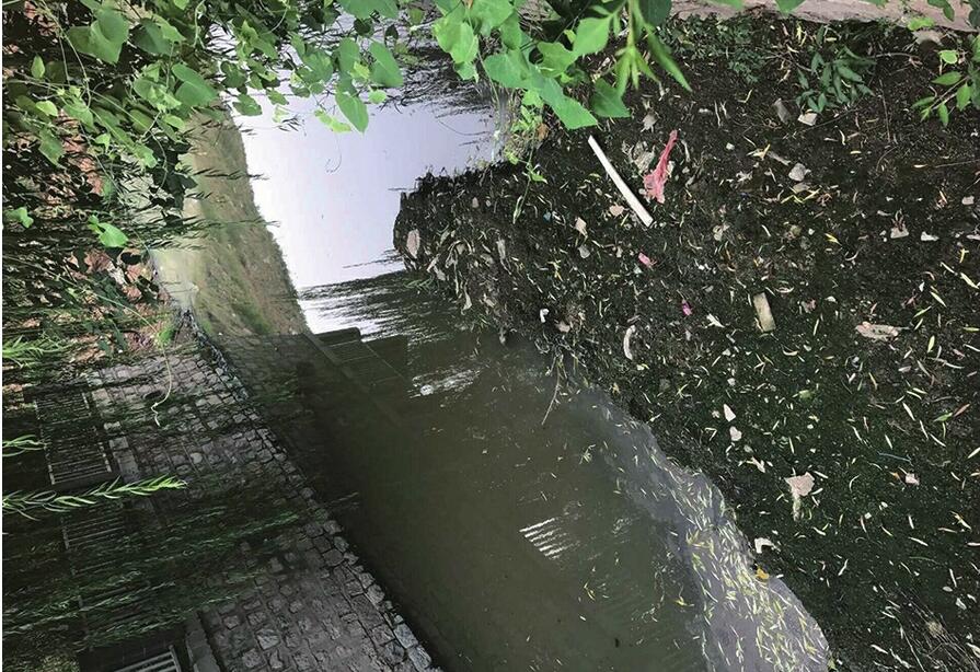 济南:生活污水侵袭小区河道 河水恶臭弥漫盛福花园