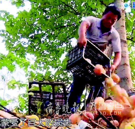 谣言!喷水却被说