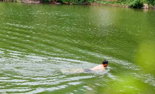 济南人造景观湖变游泳池 三块警示牌难挡游泳者