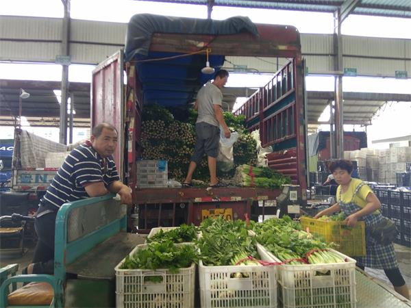 济南：高温多雨天叶菜价翻番 部分蔬菜已过生产高峰