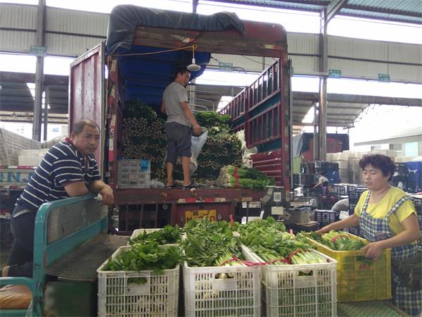 济南：高温多雨天叶菜价翻番 部分蔬菜已过生产高峰