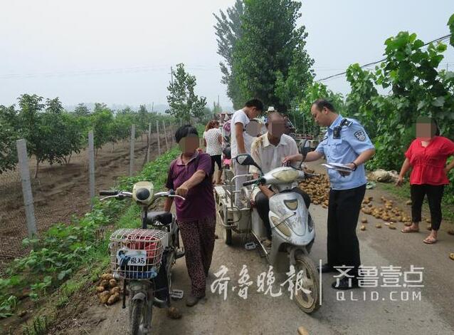 “地荒了”谣言散播 济宁汶上70亩土豆遭数百人抢挖