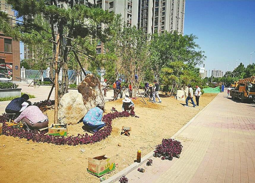 济南:记者深入组绿透绿现场 探访一线人员的组绿故事