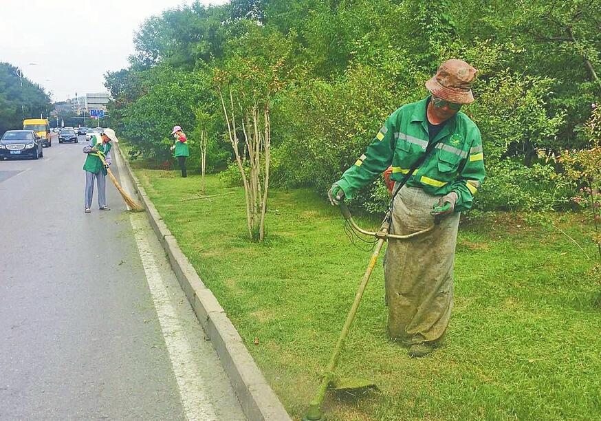 济南:记者深入组绿透绿现场 探访一线人员的组绿故事