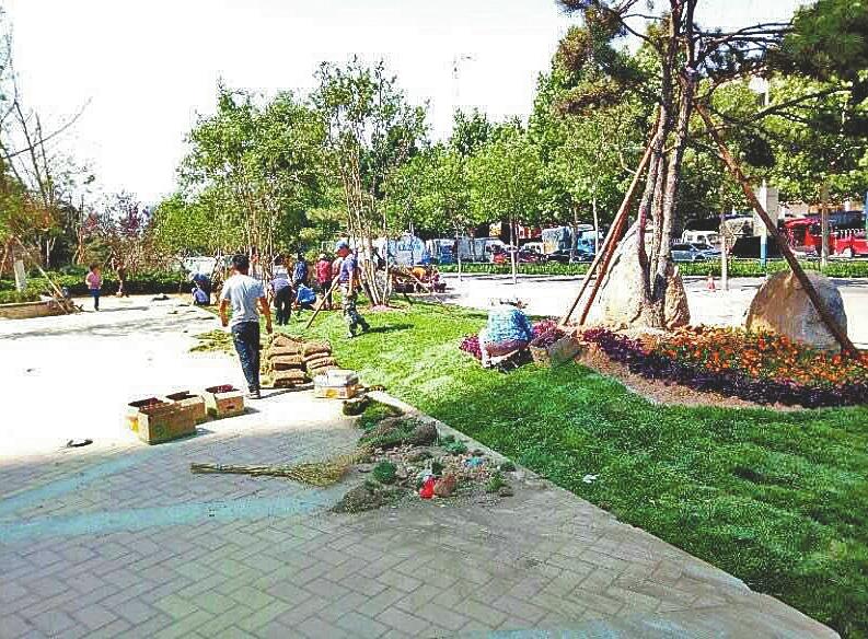 济南:记者深入组绿透绿现场 探访一线人员的组绿故事