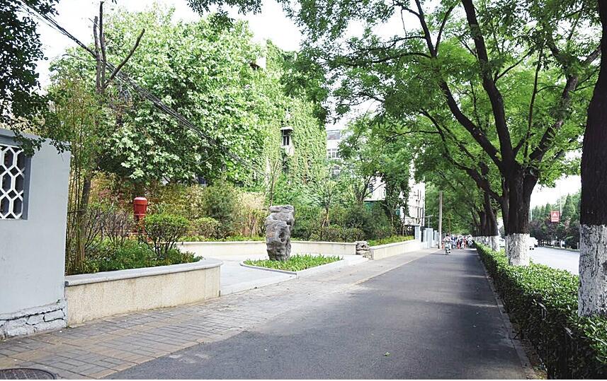 市中建设“口袋公园”打造拆违建绿精品工程