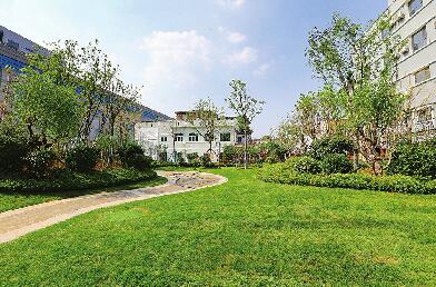 济南:拆违建新绿 扮靓泉城路