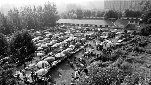 济南西营花30多天搬迁百年老集 新集摊位多达500余个