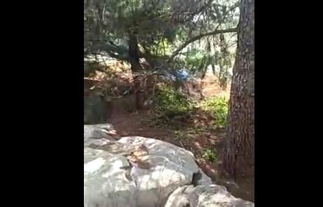 �������輼У�����ھ������Ը�ʬ ��ΪѧУѧ������