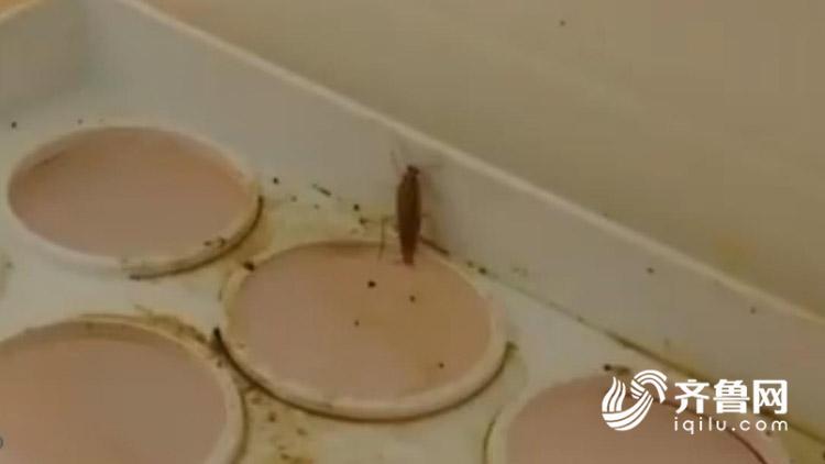 冰箱里爬蟑螂，挂面存3年！德州突查一家正做饭的幼儿园