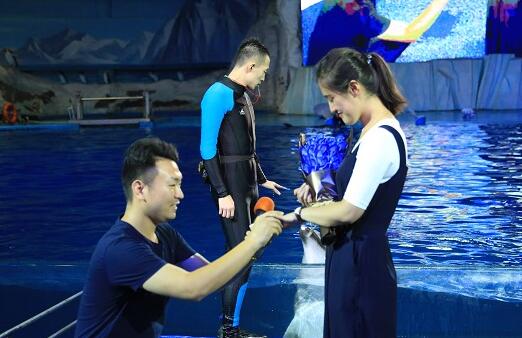海豚做媒千人助力 烟台小伙七夕浪漫求婚