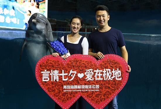 海豚做媒千人助力 烟台小伙七夕浪漫求婚