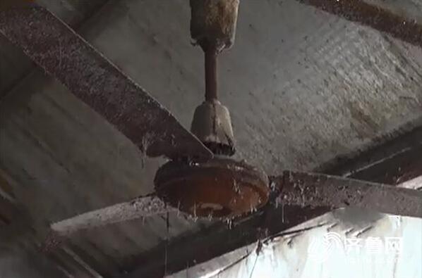 济南村民30头猪触电或死或伤 疑因风扇漏电保护器失灵