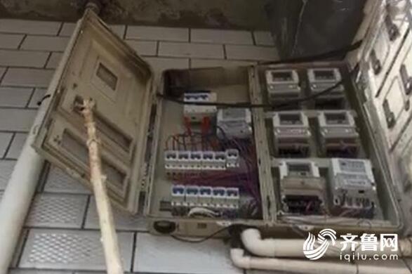 济南村民30头猪触电或死或伤 疑因风扇漏电保护器失灵