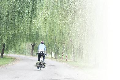 一位外地媒体人眼中的泉城：城市有温度 市民素质高