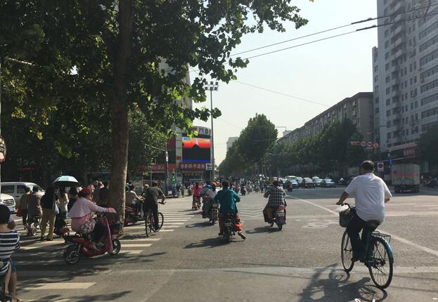 13日济南最高气温32℃ 未来7天内