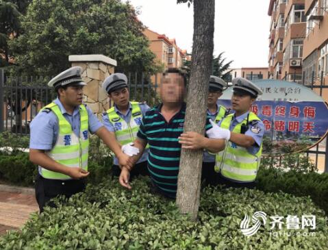 青岛酒司机被查耍赖抱树 大呼小叫引得路人驻足围观