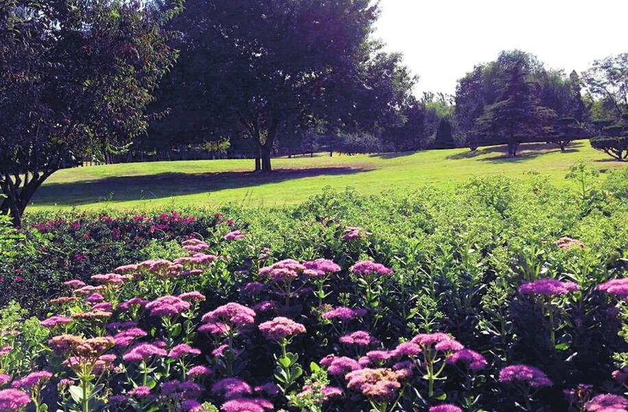 欢乐度“双节”喜迎十九大