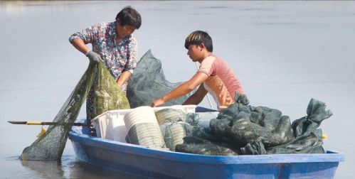一天一价蟹商惜售 山东黄河口大闸蟹比阳澄湖的还贵