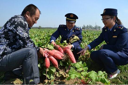 山东公示农民合作社监测名单 这328家单位上黑榜