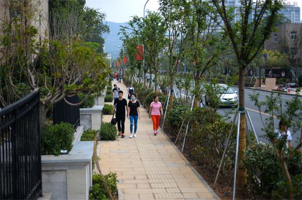 ɽʦ��·�������̽�·ͨ�� ԰��С������Ȥ