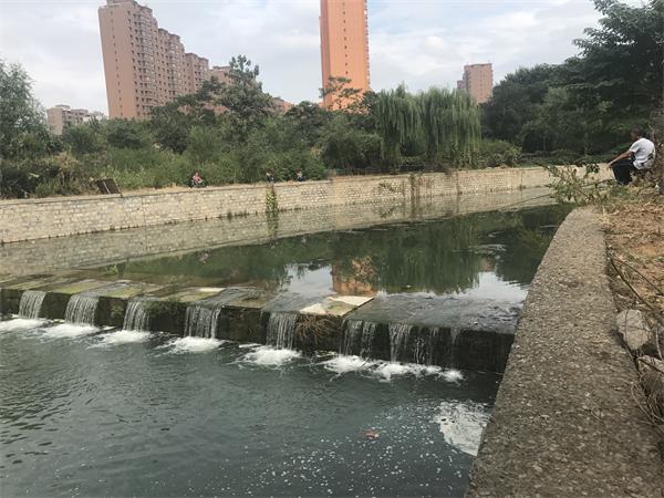 �����ӵ�����Ŭ��12�� ������Ѫ�ܡ�����������