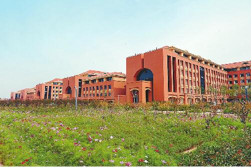 山大青岛校区全面启用，三地办学格局形成