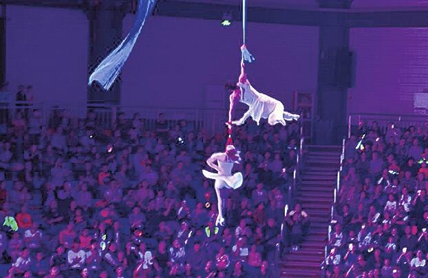 济南野生动物世界动物王国自驾游火热
