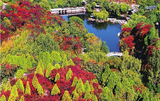 醉人红叶迷人谷