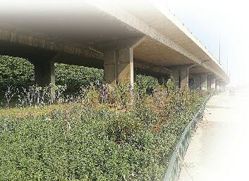 拆违建绿半年后这些地方都啥样了？