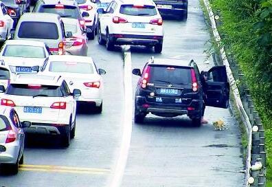 8天长假山东1.6万驾驶员因占用应急车道被罚 应急车道应谁之急?