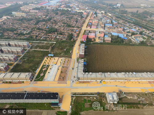 山东德州秋收季 乡镇街道被玉米粒覆盖如同“镶金”