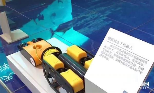 山东元素亮相​“砥砺奋进的五年”成就展