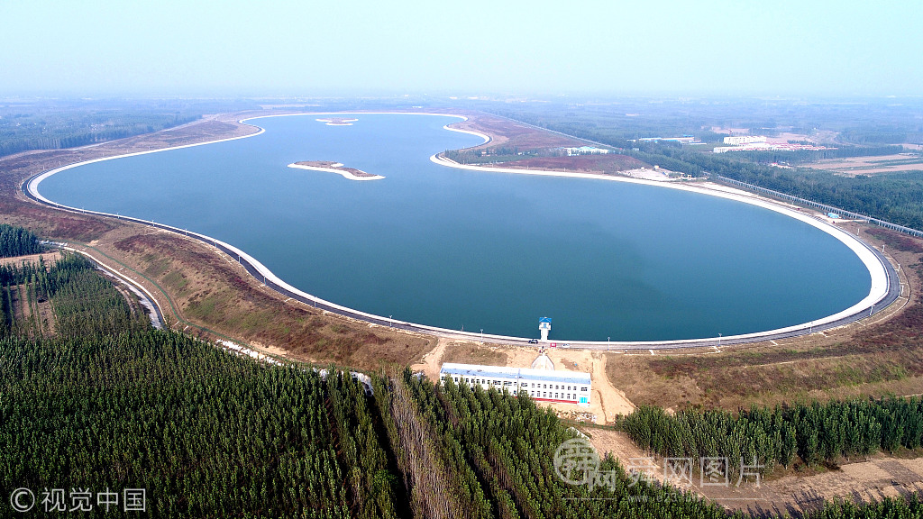 山东聊城：美丽如意湖迎来候鸟季