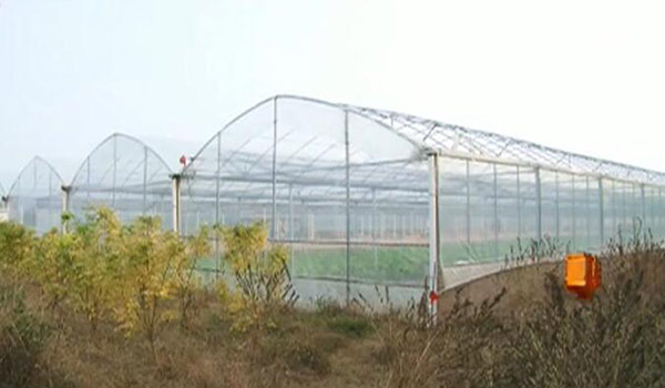 �ĳ�ƶ�������ׯ�ġ���˵��䡱����������ô�������������