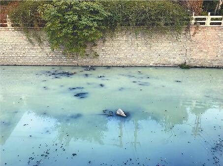 ���к�����������Ⱦ���� �����ˮ������������������