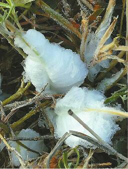 �����򳿶����������� ������������ֻ�20��+