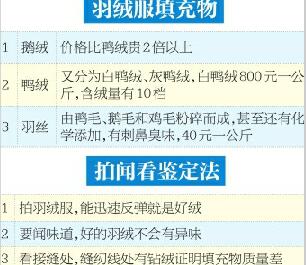 羽绒服价格从100元到2000元不等 违规添加羽丝已成公开秘密