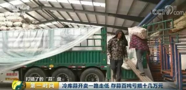 忙活一年到底是赔还是赚?山东金乡的蒜农来算一算