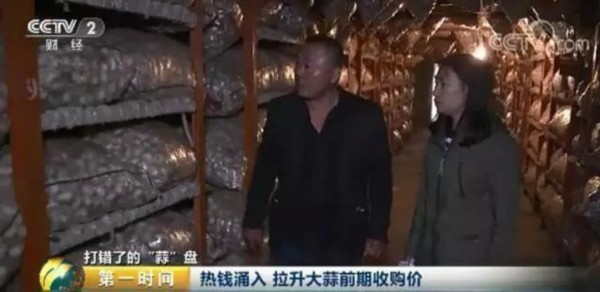忙活一年到底是赔还是赚?山东金乡的蒜农来算一算