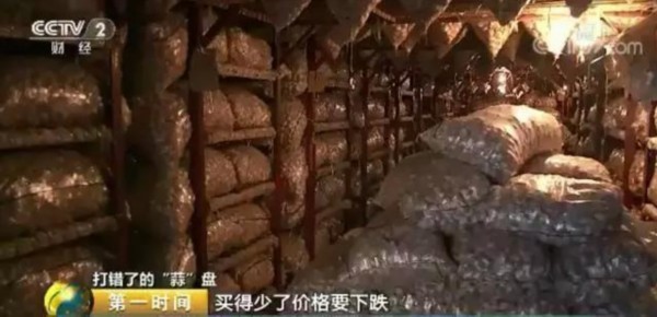 忙活一年到底是赔还是赚?山东金乡的蒜农来算一算