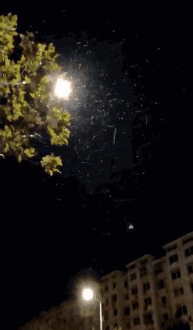 烟台、威海、日照迎来今冬初雪，冷艳无比！