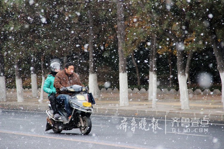 烟台、威海、日照迎来今冬初雪，冷艳无比！