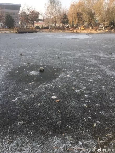 烟台、威海、日照迎来今冬初雪，冷艳无比！