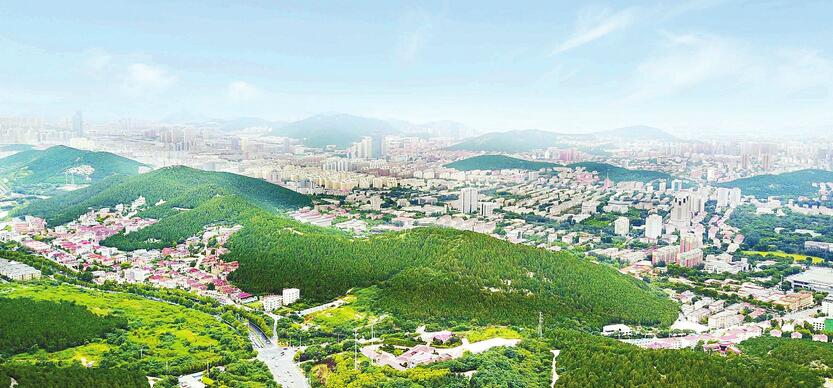 人与城的“和谐共鸣” 济南众志“成城”的文明进步启示